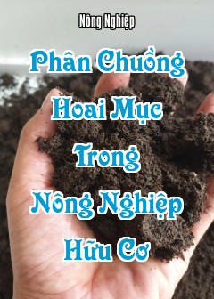 Phân Chuồng Hoai Mục Trong Nông Nghiệp Hữu Cơ